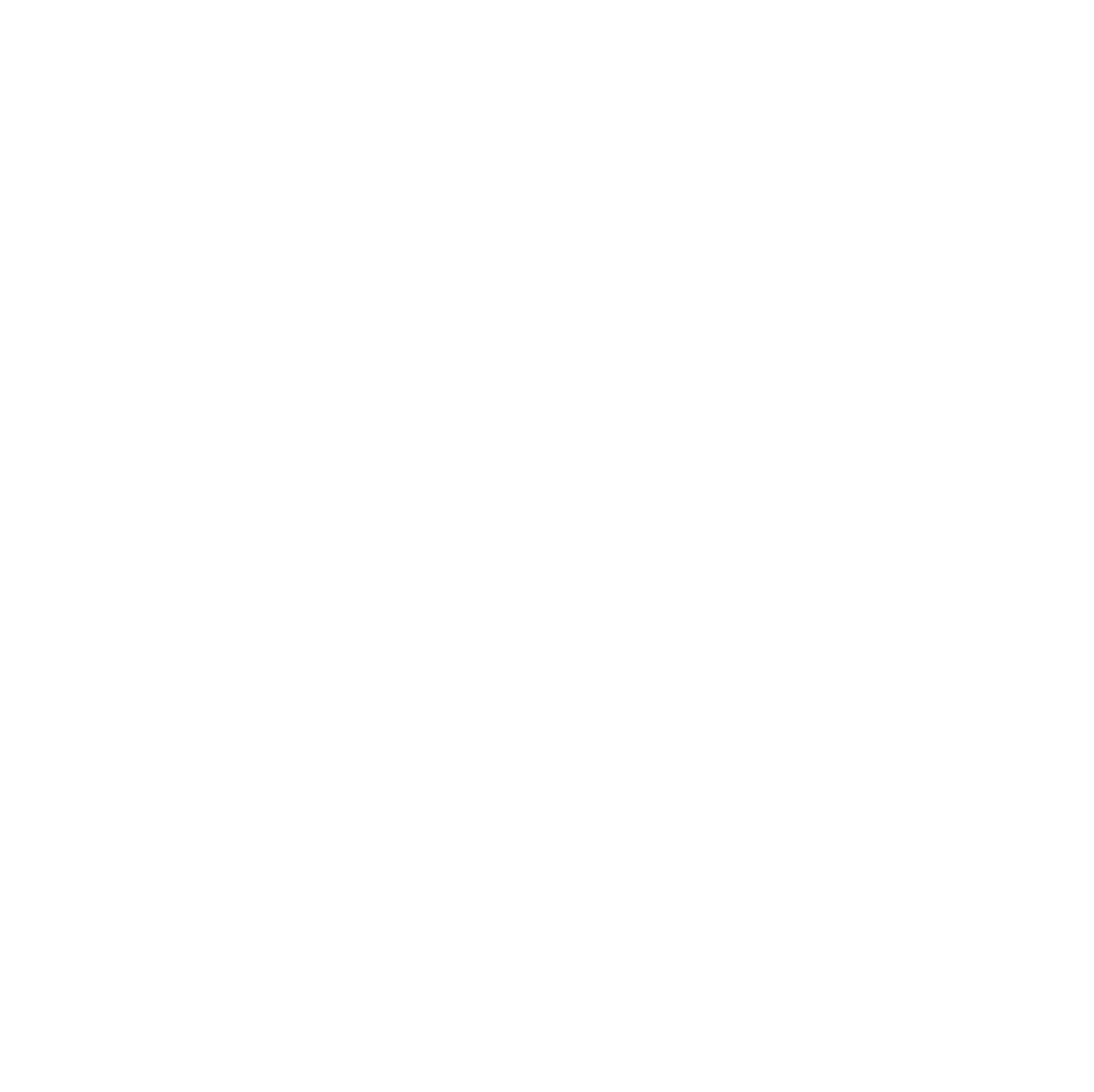 Developia Logo